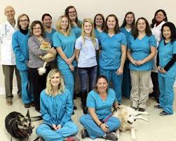 Quickly access services from 3 animal hospitals near you! Wilkinson Animal Hospital In Gastonia Nc Vet In Gastonia Nc