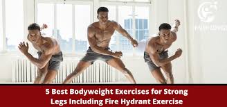 Fire hydrant workout muscles worked. 5 Best Bodyweight Exercises For Strong Legs Including Fire Hydrant Exercise Health Caringz