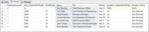 Excel organizational chart with template excel : Sql Server And Excel Hierarchyid Example For Organization Charts