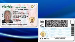 We did not find results for: On The Road Florida Driver S Licenses Are Getting New Look News The Florida Times Union Jacksonville Fl