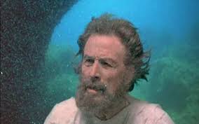 THE BIRDCAGE 1996 Robin Williams, Nathan Lane, Gene Hackman, Dianne Wiest,  Hank Azaria, Calista Flockhart, Dan Futterman, Christine Baranski and Tom  McGowan