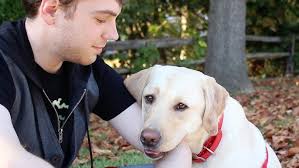 My Old Dog (feat. Greg Marsh, Jeff Wolinski, Jeff Bober & Greg Fenlon)