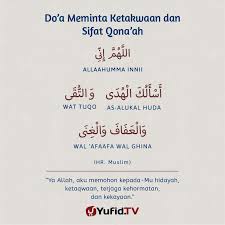Whatsapp telah menyiapkan beragam tema stiker, stiker tematik yang disediakan whatsapp beragam dari wujud kartun manusia hingga binatang. 900 My Collection Islamic Ideas In 2021 Learn Islam Islam Muslim Quotes