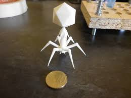 How To Build A Bacteriophage Model Google Search Projects To Try Projects Gifts