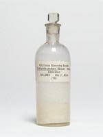 Image result for Telfairia pedata