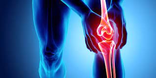 We did not find results for: 13 Kelainan Pada Tulang Dan Cara Mencegahnya