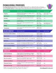 Phonological Process Chart Phonological Processes Speech