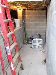 Mold cannot grow without water. Deco 20 Clear Penetrating Concrete Sealer 1gal