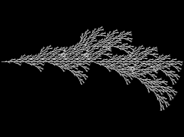 Image result for L systems