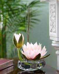 Pin On Garden