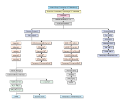 Organization Chart