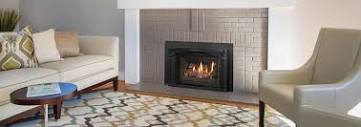 LRI4E Medium Traditional Gas Fireplace Insert | Regency
