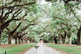 Boone hall plantation wedding photography. Charleston Bridal Session Boone Hall Plantation Wedding