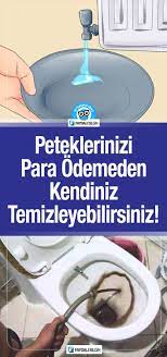 bitki panosundaki pin