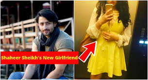 Television star shaheer sheikh is a single man now as he has parted ways with his indonesian ladylove ayu ting ting. Shaheer Sheikh Is Dating This Hottie Post Break Up With Erica Fernandez