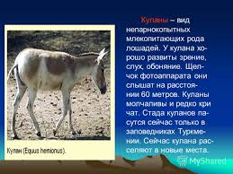 проект по окружающему миру 2 класс красная книга скачать бесплатно Prezentaciya Na Temu Krasnaya Kniga Okruzhayushij Mir 2 Klass Krasnaya Kniga Eto Ne Sovsem Obychnaya Kniga Cvet Pereplyota U Etoj Knigi Krasnyj Chto Simvoliziruet Krasnyj Skachat Besplatno I Bez Registracii