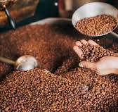 Coffee bean Sorting Solutions | TOMRA
