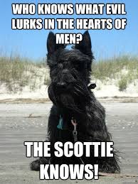 Who Knows What Evil Lurks In The Hearts Of Men Who Knows What Evil Lurks In The Hearts Of Men The Scottie The Scottie Knows With Images Scottie Scottie Dog Dog Memes