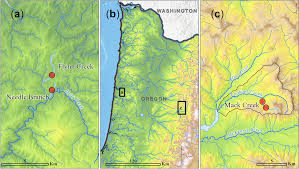 Image result for Nile Green 1950 Nash