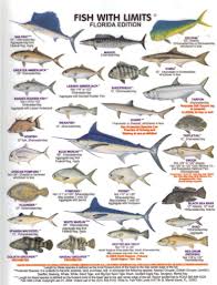 Florida Game Fish Florida Fish Fish Chart Freshwater Fish