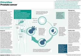 Prostate cancer is only one of several causes of a raised psa test. Prostate Cancer Nature Reviews Disease Primers