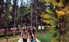 Διαμέρισμα προς πώληση νέα πέραμος (ελευθερές). 35 Alsos Neas Smyrnhs Ideas Smyrnh Kataskeyes E3wterikoy Xwroy Diamantia