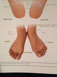Vitaflex Feet Top Flex Feet Ovaries