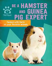 Be A Hamster And Guinea Pig Expert Be A Pet Expert Barder Gemma 9780778780458 Amazon Com Books