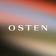 Logo de Osten Group
