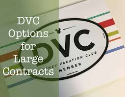 dvc options for 300 point contracts