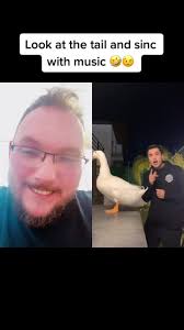 #duet with @el_quekitas #tail #duck #shake #funny #viral #fyp