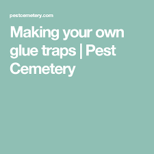 Get a free quote for your home or commercial facility. Making Your Own Glue Traps Pest Cemetery Glue Traps Termite Prevention Sticky Mouse Traps