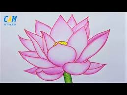 Lotus Flower How To Draw A Lotus Flower For Beginners Youtube Draw and color with me a lotus flower (water lily). lotus flower how to draw a lotus flower for beginners