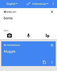 If You Go To Google Translator And Translate From English To Indonesian Type In Borns It Will Translate It To Muggle Some W Language Google Translate Ads