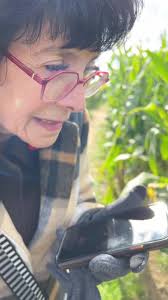 Going to Donna Corn Maze