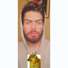 Michael Puga (@michael_puga) • Instagram photos and videos