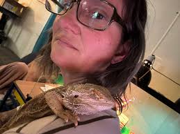 Is anyone missing a bearded dragon over by Halsey and 7th st?