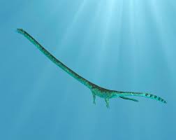 Image result for Tanystropheus