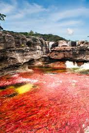 Maybe you would like to learn more about one of these? Datei Cano Cristales La Macarena Meta Colombia Sector Conocido Como Los Ochos Jpg Wikipedia