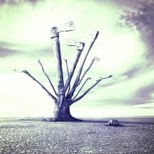 Ruyada Kaynananin Evlendigini Gormek Ruyam Hayir Mi