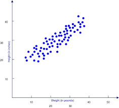 Whats The Difference Between A Graph A Chart And A Plot