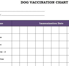 dog vaccination record maddie dog vaccination schedule