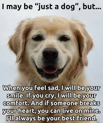 Pin On Treat Hunters Feelings