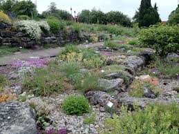 Check spelling or type a new query. Steingarten Bild Von Weihenstephaner Garten Freising Tripadvisor