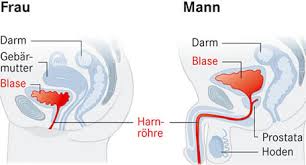 Trichomonaden Infektion Beratender Experte Apotheken Umschau