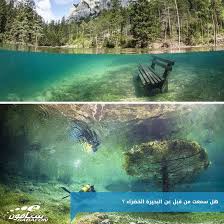 البحيرة الخضراء بالنمسا من أغرب البحيرات في العالم حيث تغرق حديقة بأكملها كل سنة بعد ذوبان الجليد في فصل الربيع مشاهد من العالم aquarium social