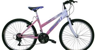 The seller is shirah.917″ and is located in brooklyn, new york. Mtb 26 Pollici Donna Economica Frejus