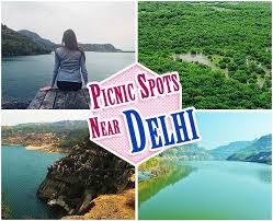 There is a really nice elevated walkway through the park for others who want to take a safer route to look around and picnic places for you to sit and enjoy the tranquility of the park itself. Best Picnic Spots Near Delhi You Can Explore This Winter