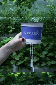 Waterwick Clickstick Planters Planter Pots Herbs