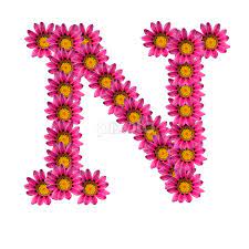 To complete the alphabet puzzles, you will pick a flower. Alphabet N Single Letters Typography Pixoto